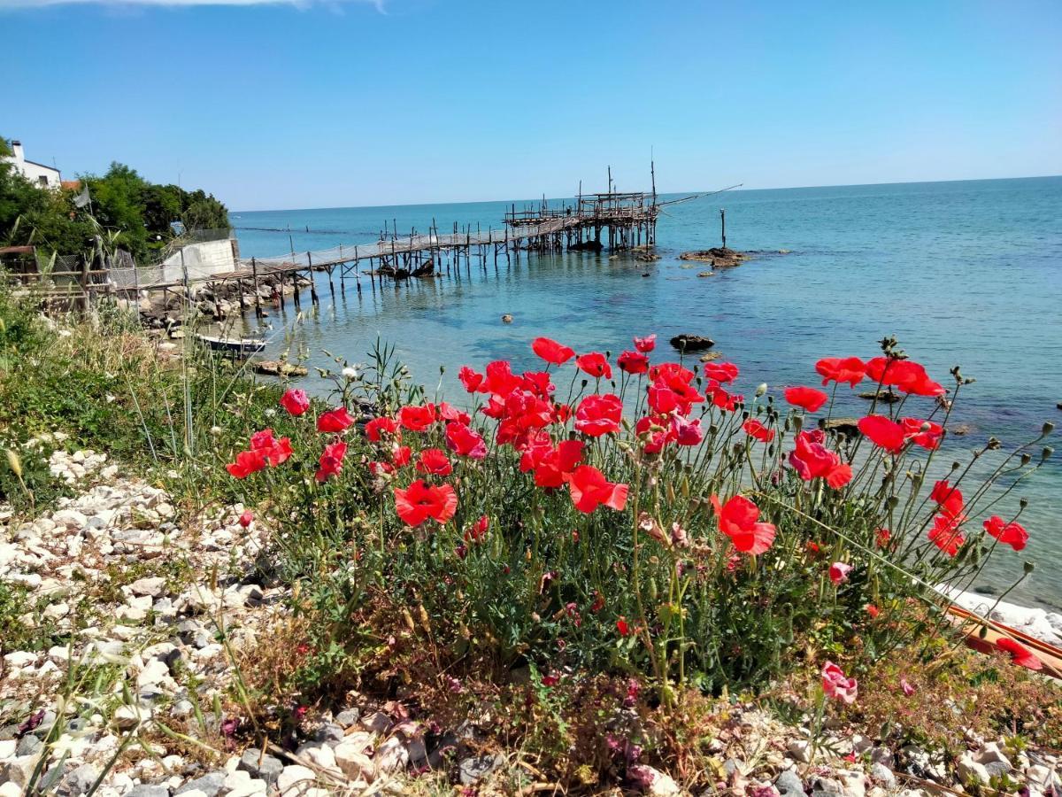 B&B Il Battocchio Lanciano Luaran gambar