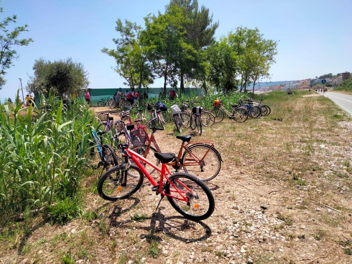 B&B Il Battocchio Lanciano Luaran gambar